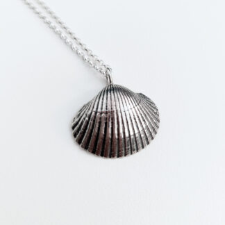 cockle-shell-necklace-white-background
