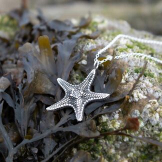 large-venus-starfish-necklace-natural-background-3