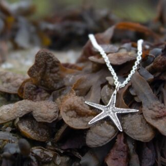 medium-starfish-necklace-natural-background-2