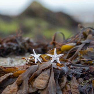 small-starfish-stud-earrings-natural-background-3