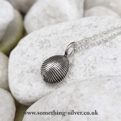 Sterling silver cowrie shell pendant with silver belcher chain on natural stone background