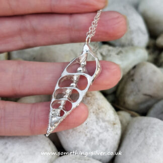 Auger Shell Slice Necklace