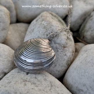 Striped Venus Clam Shell Necklace